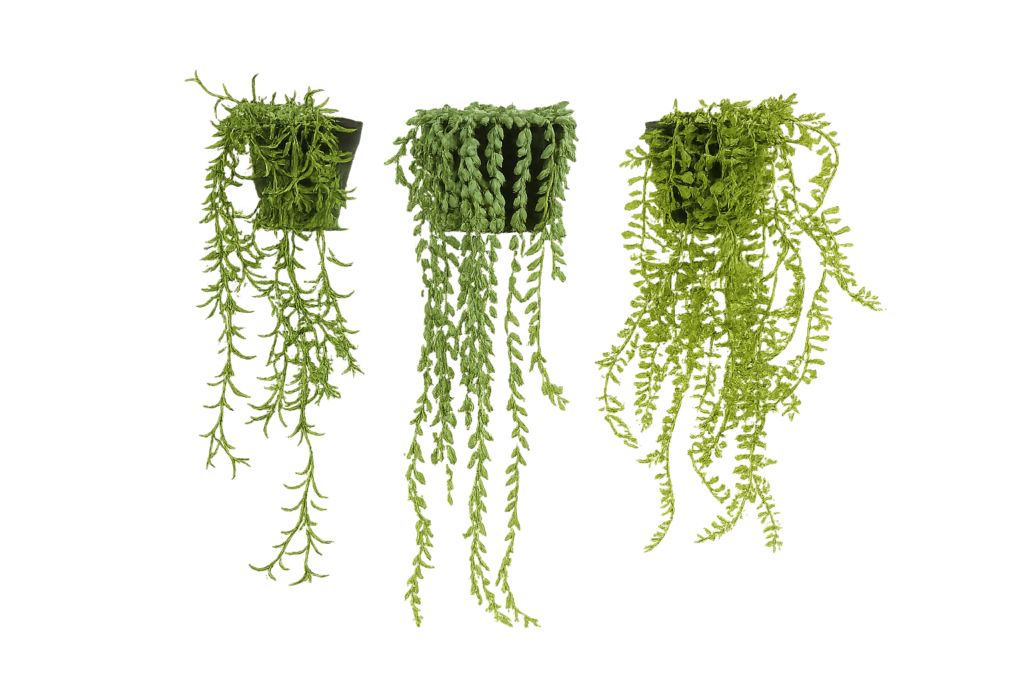 TRAVAUX RENOVATION LYON Image 22 fevr. 2026 a 10 57 08